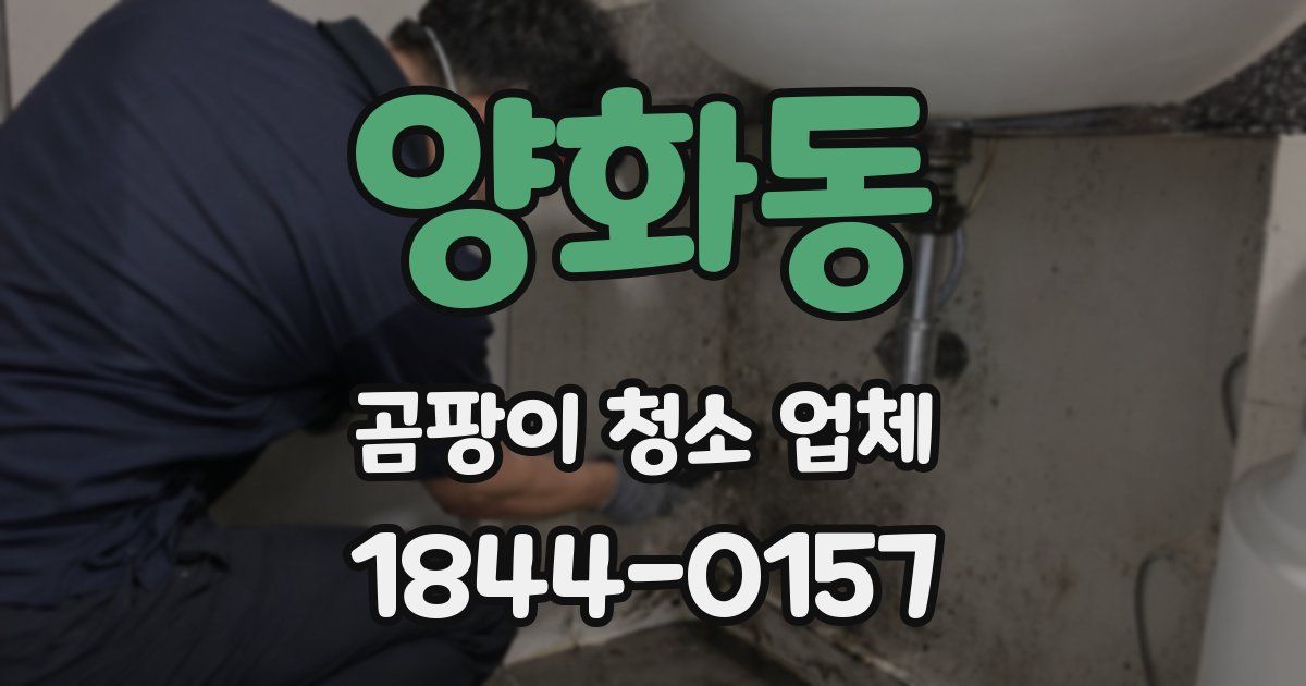 양화동 곰팡이 청소 업체