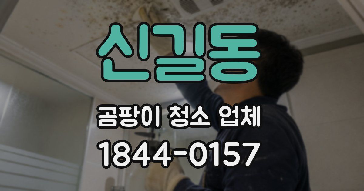 신길동 곰팡이 청소 업체