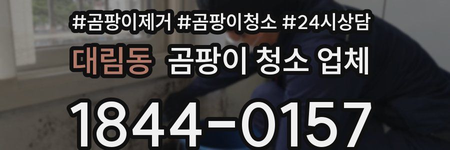 대림동 곰팡이 청소 업체