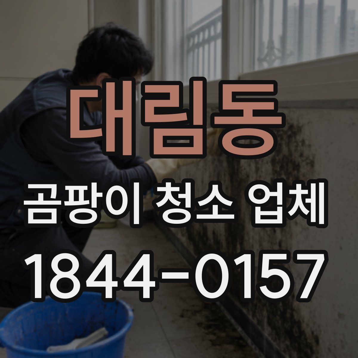 대림동 곰팡이 청소 업체