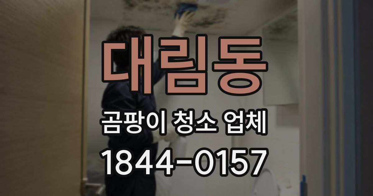 대림동 곰팡이 청소 업체