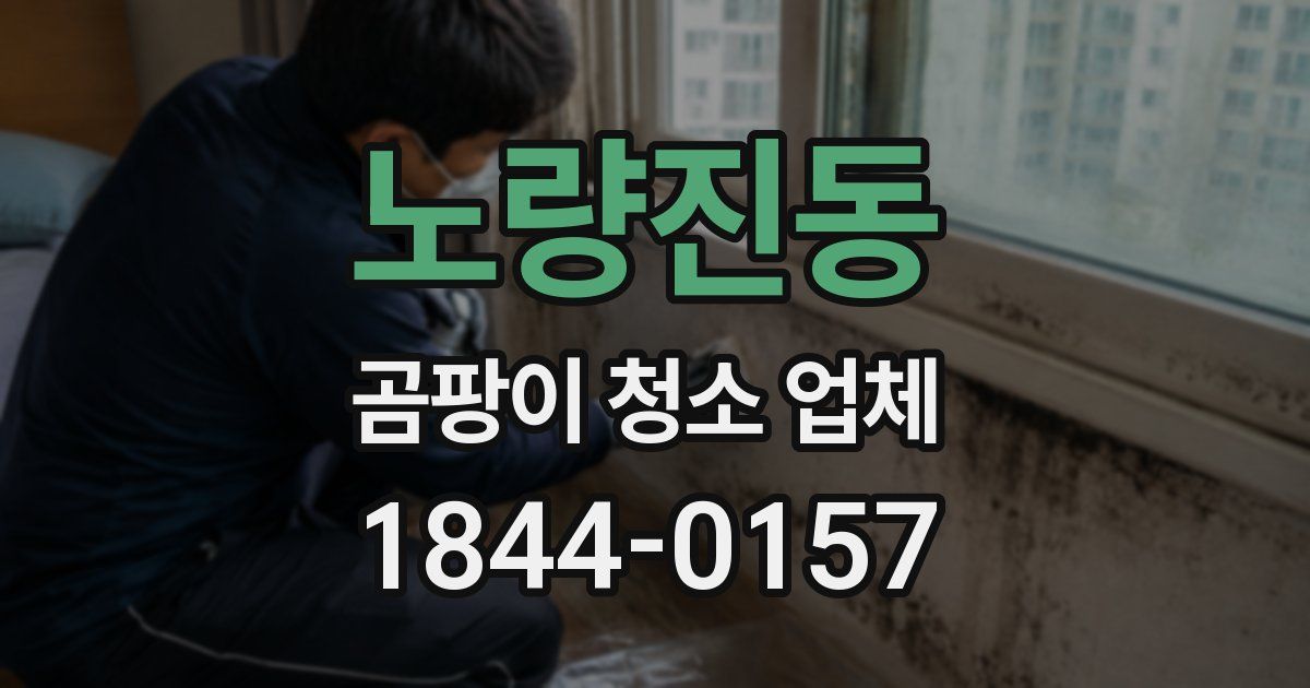 노량진동 곰팡이 청소 업체