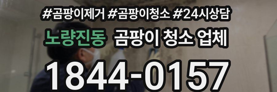 노량진동 곰팡이 청소 업체