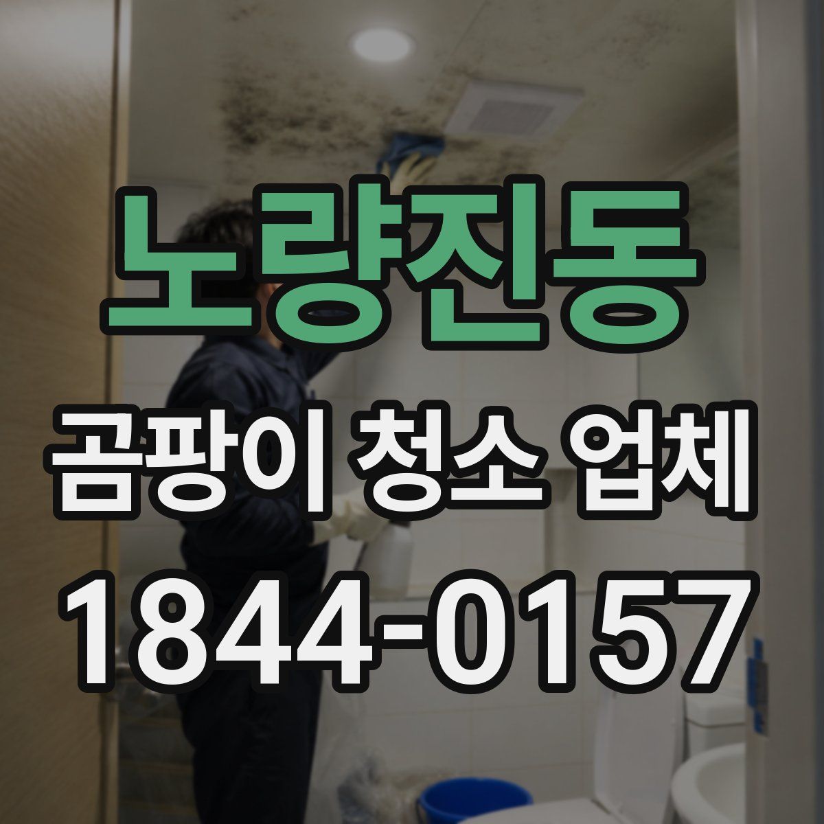 노량진동 곰팡이 청소 업체
