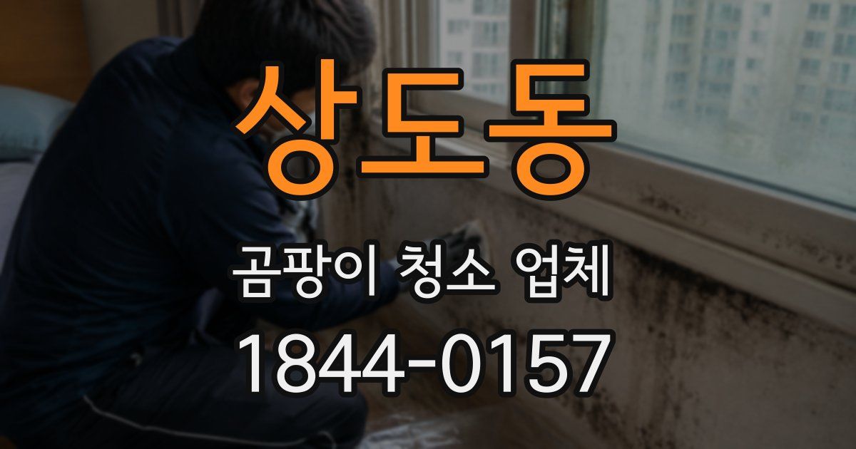 상도동 곰팡이 청소 업체