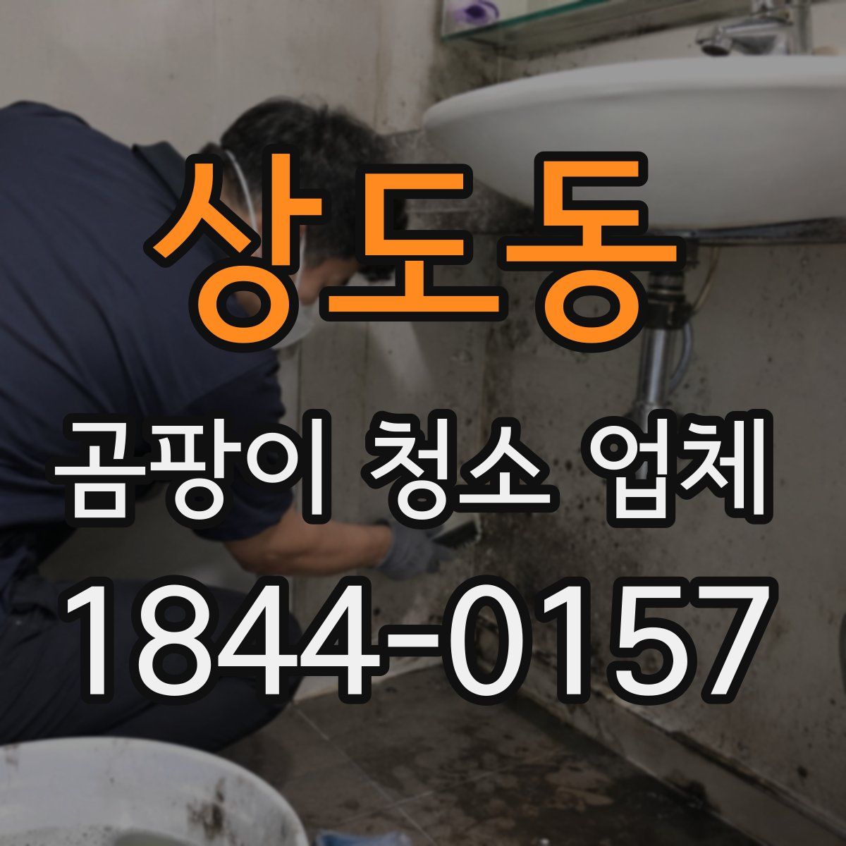 상도동 곰팡이 청소 업체