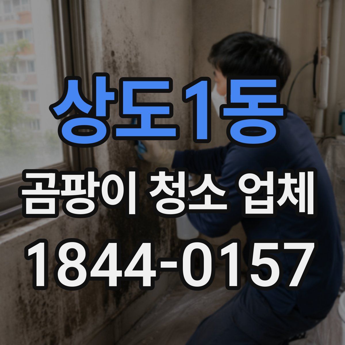 상도1동 곰팡이 청소 업체