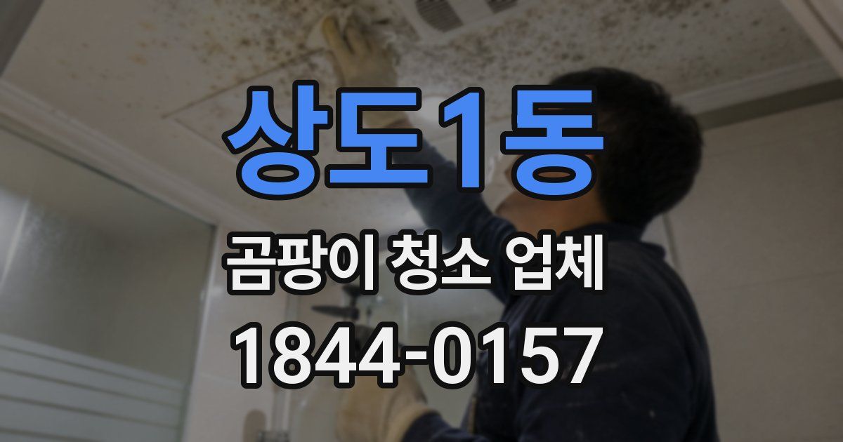 상도1동 곰팡이 청소 업체