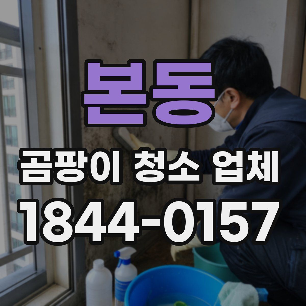 본동 곰팡이 청소 업체