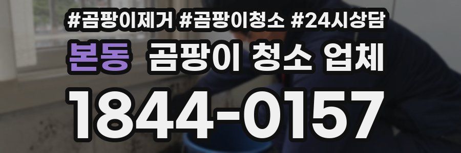 본동 곰팡이 청소 업체