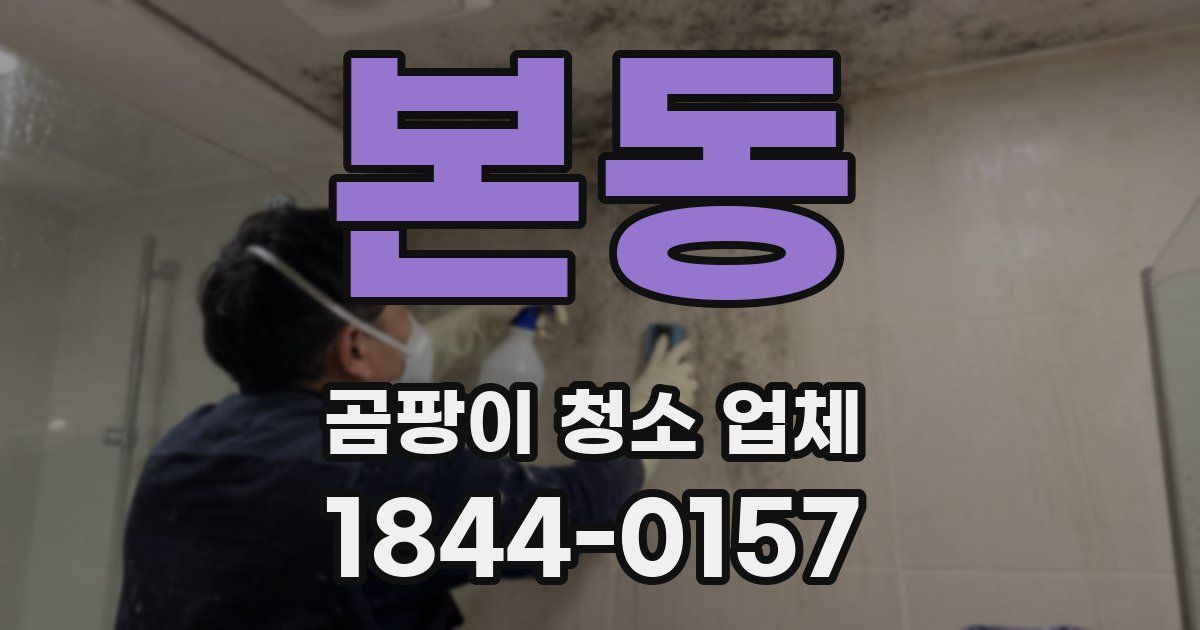 본동 곰팡이 청소 업체