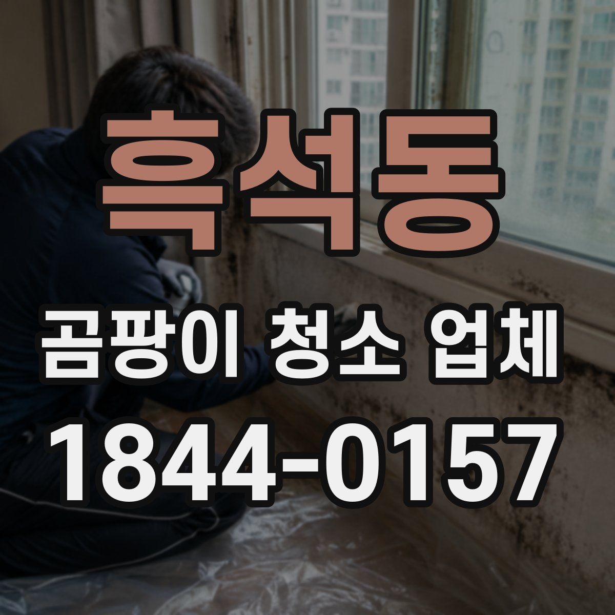 흑석동 곰팡이 청소 업체 세척 가능한 자재와 불가 자재를 나누는 기준
