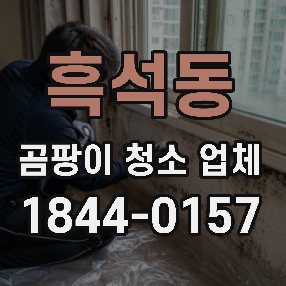 흑석동 곰팡이 청소 업체