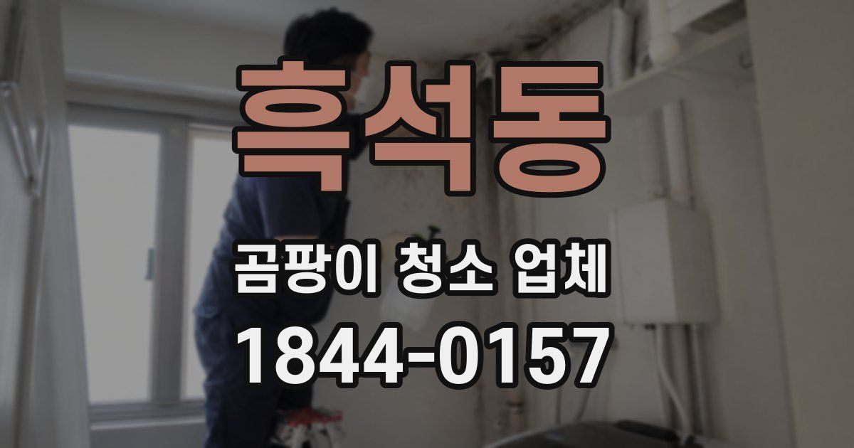 흑석동 곰팡이 청소 업체
