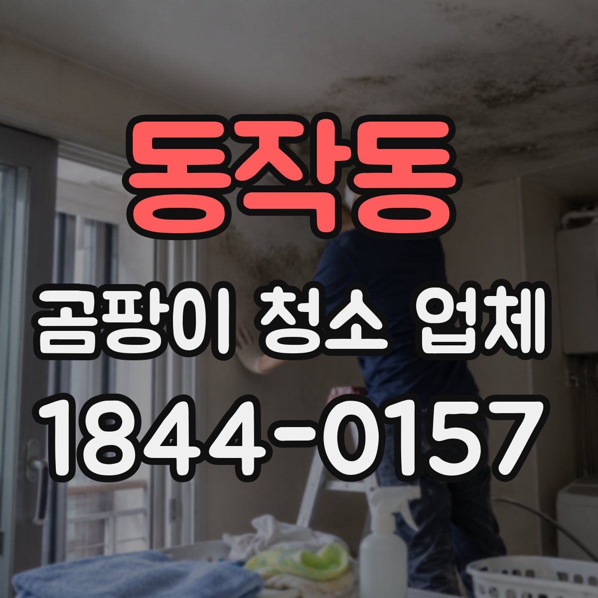 동작동 곰팡이 청소 업체