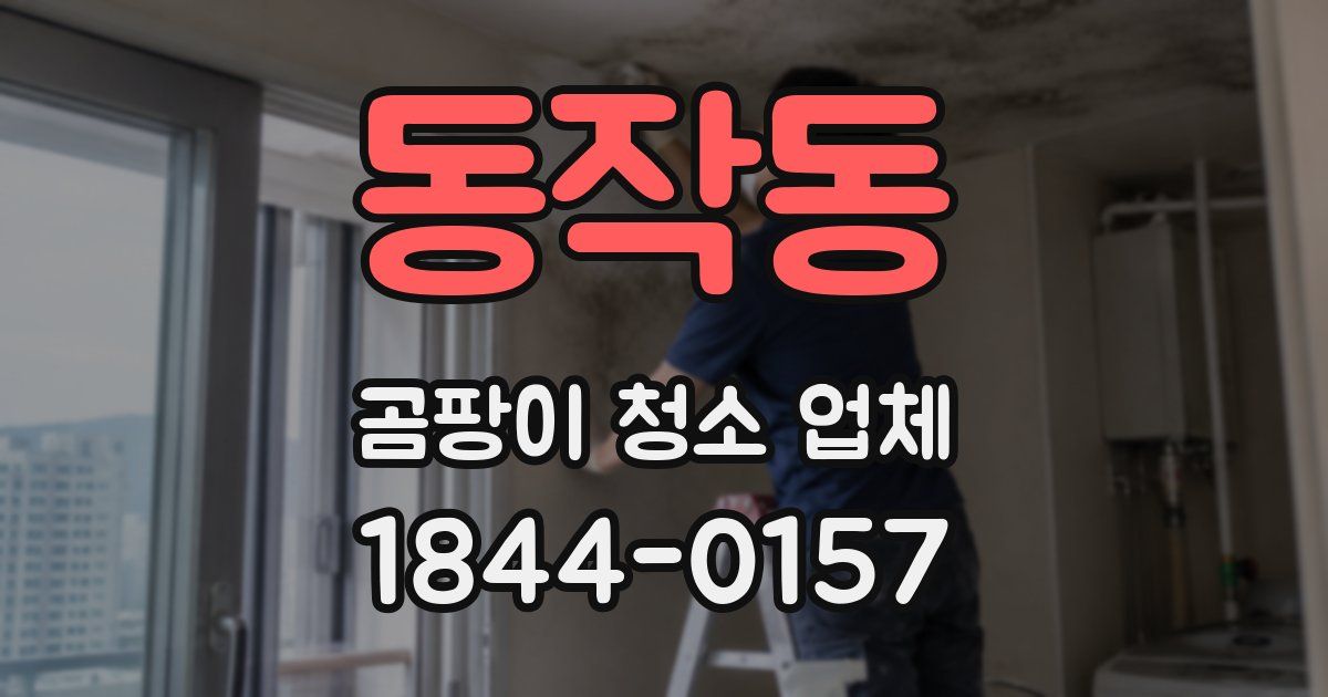 동작동 곰팡이 청소 업체