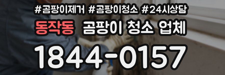 동작동 곰팡이 청소 업체
