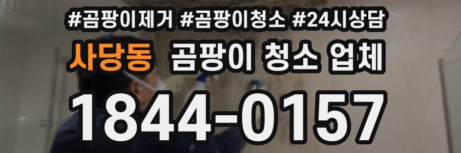 사당동 곰팡이 청소 업체