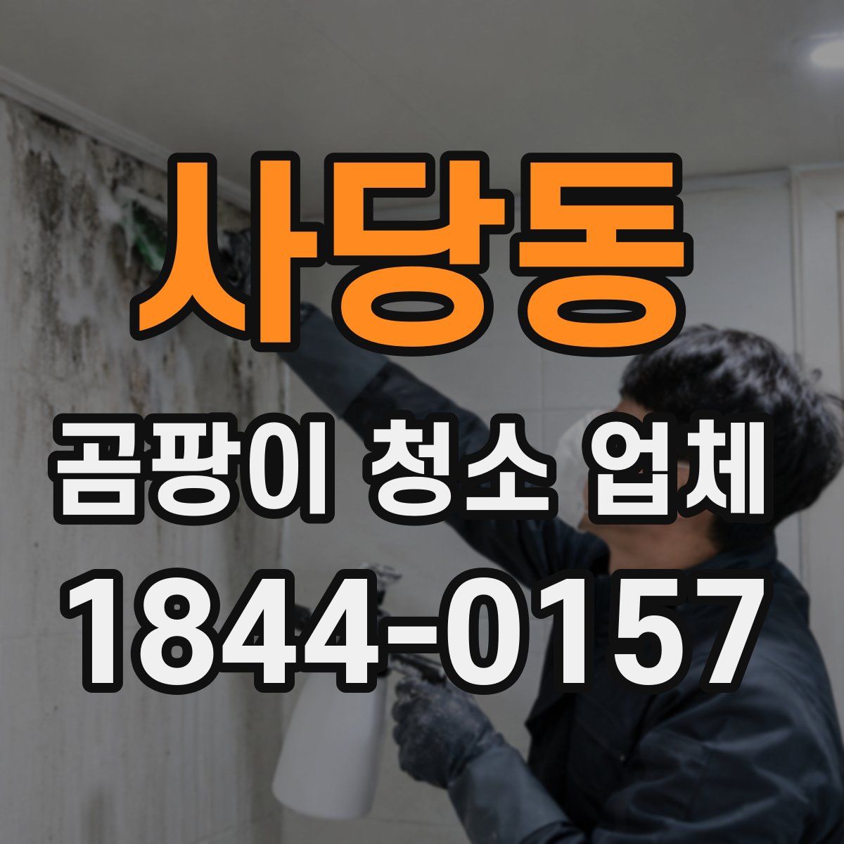 사당동 곰팡이 청소 업체