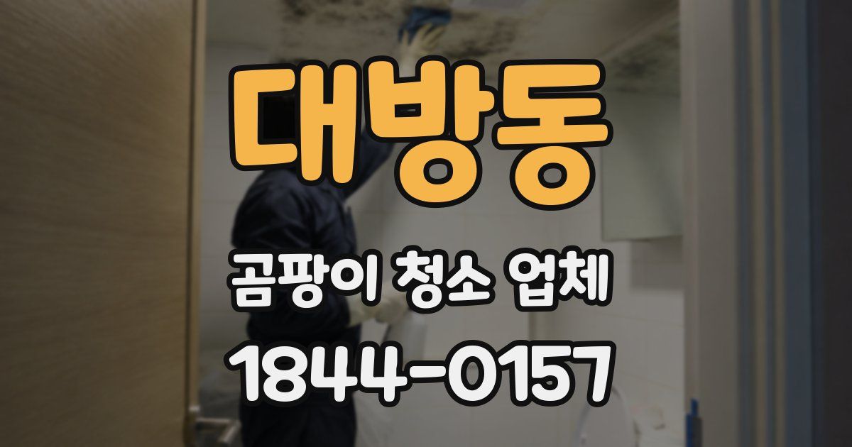 대방동 곰팡이 청소 업체