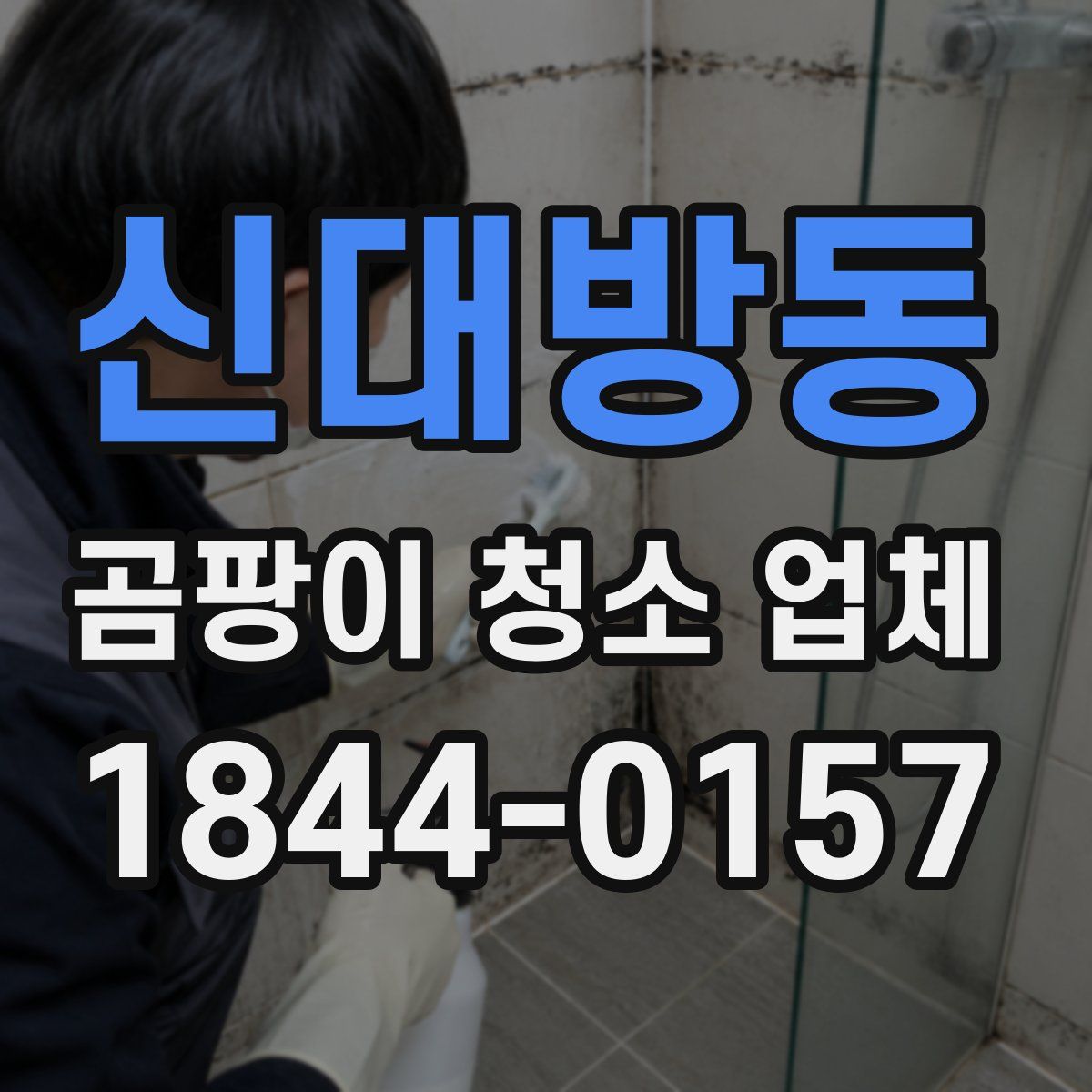 신대방동 곰팡이 청소 업체