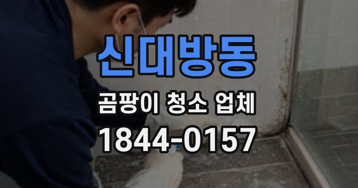 신대방동 곰팡이 청소 업체