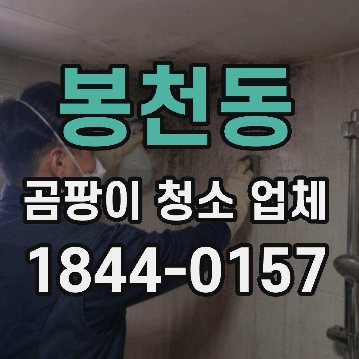 봉천동 곰팡이 청소 업체