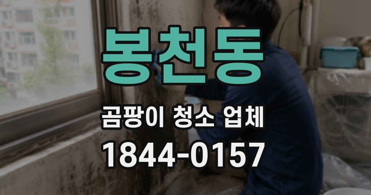 봉천동 곰팡이 청소 업체