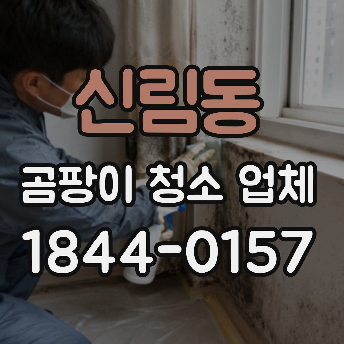 신림동 곰팡이 청소 업체
