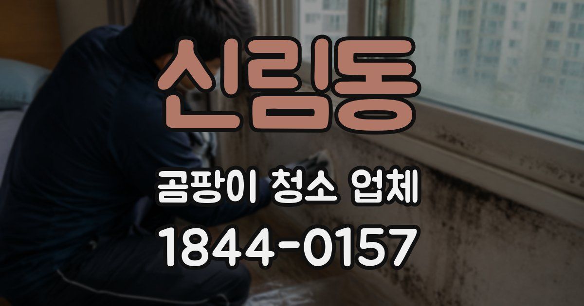 신림동 곰팡이 청소 업체