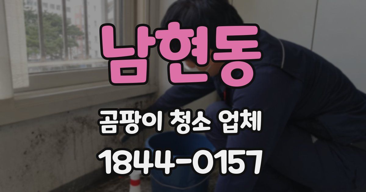 남현동 곰팡이 청소 업체