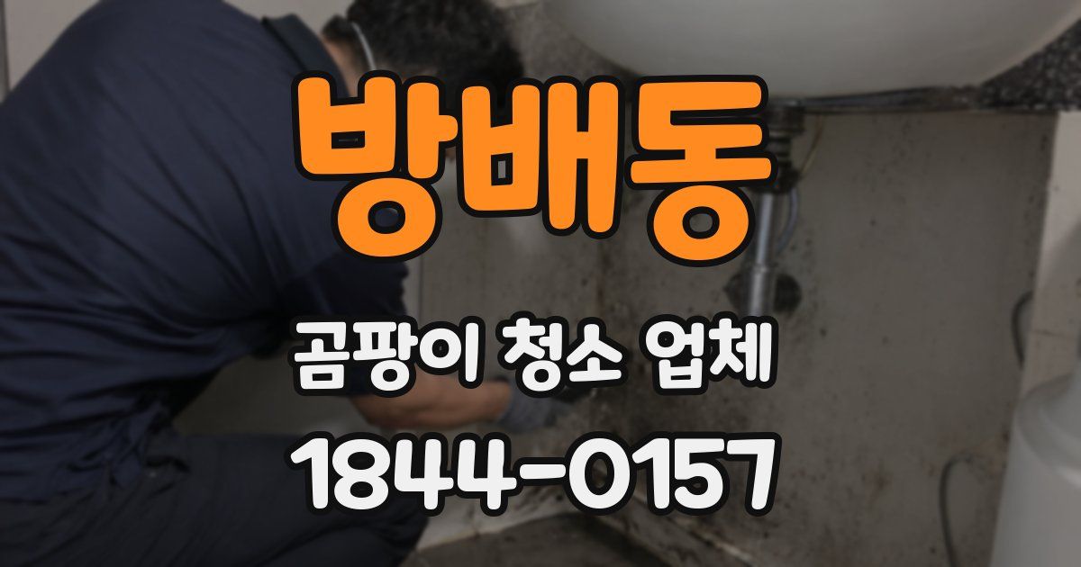 방배동 곰팡이 청소 업체