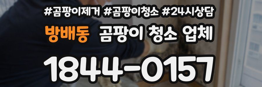 방배동 곰팡이 청소 업체