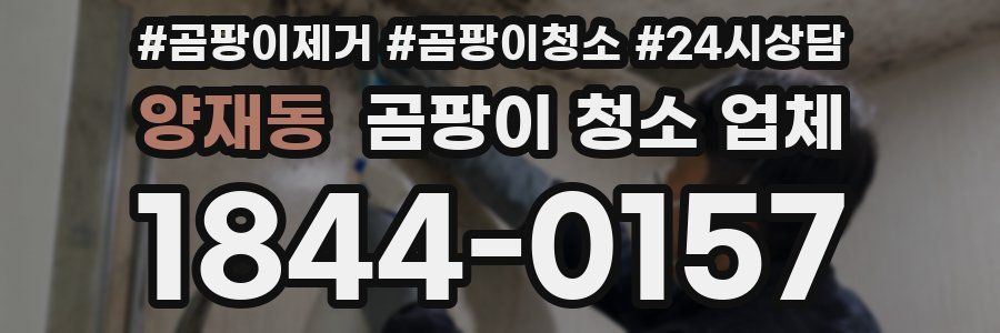 양재동 곰팡이 청소 업체
