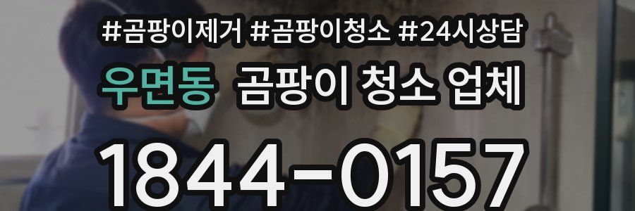 우면동 곰팡이 청소 업체