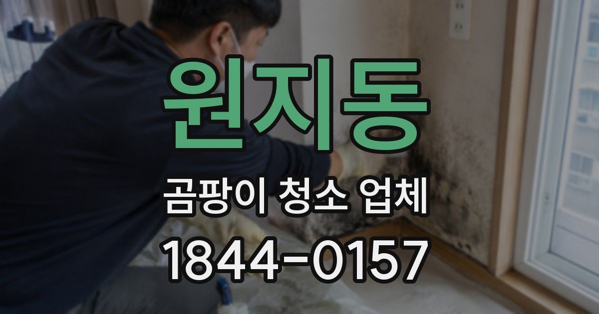 원지동 곰팡이 청소 업체