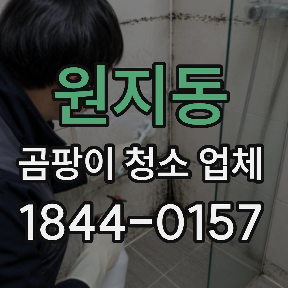 원지동 곰팡이 청소 업체