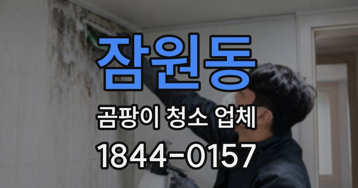 잠원동 곰팡이 청소 업체