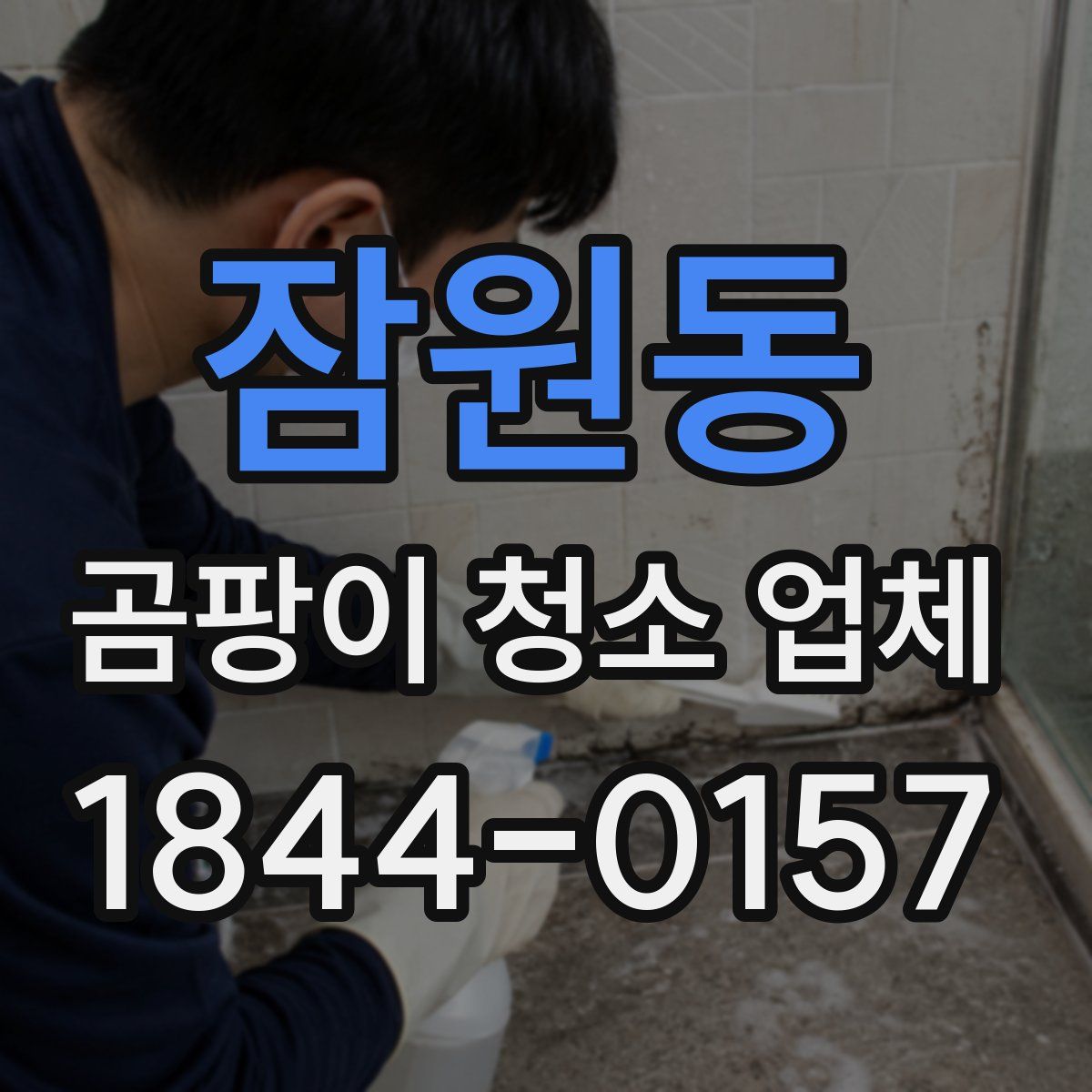 잠원동 곰팡이 청소 업체