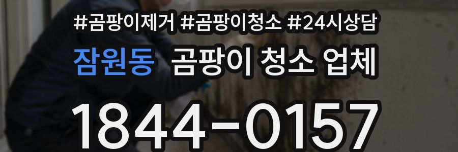 잠원동 곰팡이 청소 업체