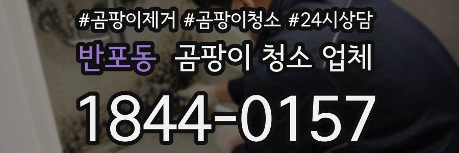 반포동 곰팡이 청소 업체