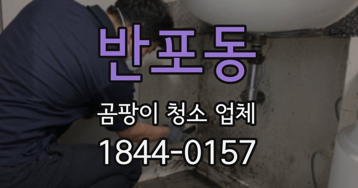 반포동 곰팡이 청소 업체