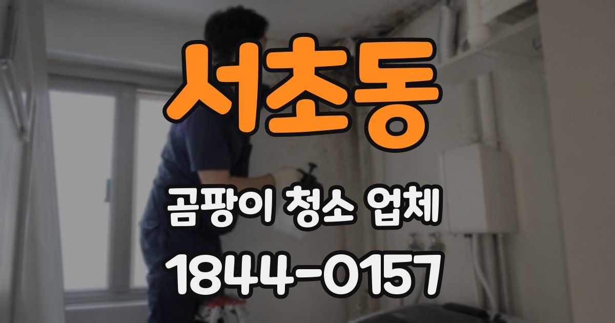 서초동 곰팡이 청소 업체