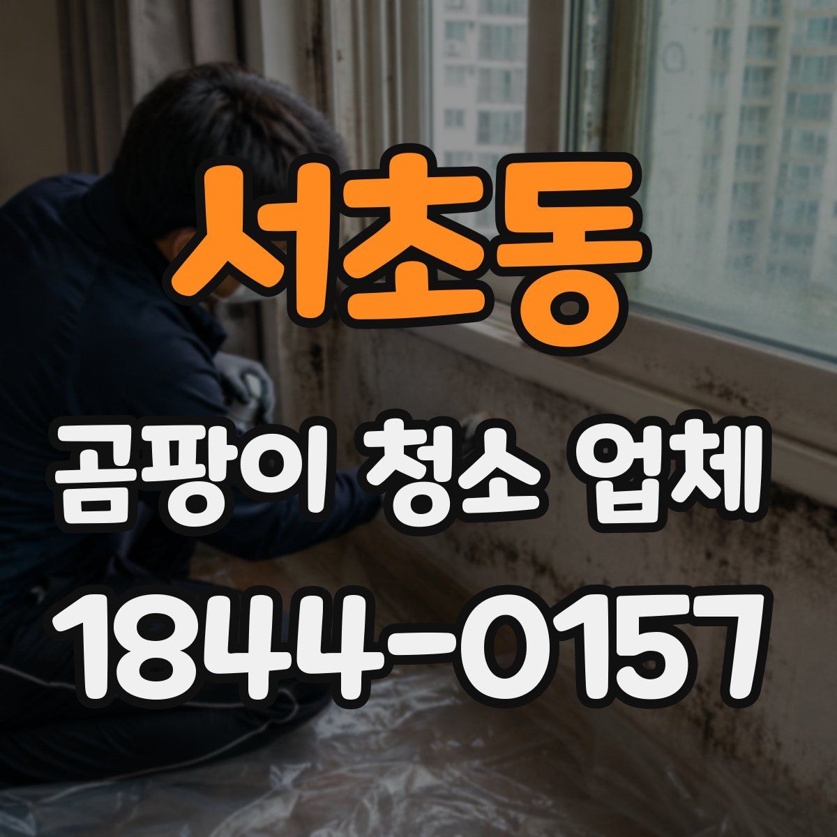 서초동 곰팡이 청소 업체