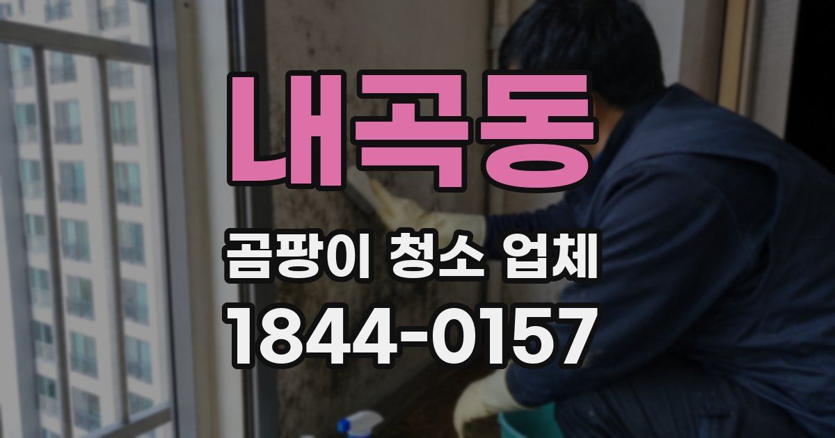 내곡동 곰팡이 청소 업체