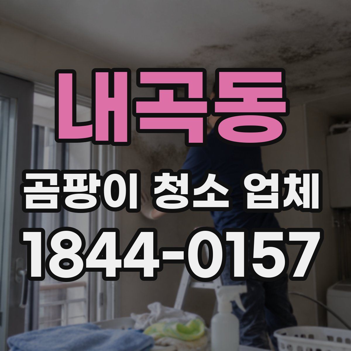 내곡동 곰팡이 청소 업체