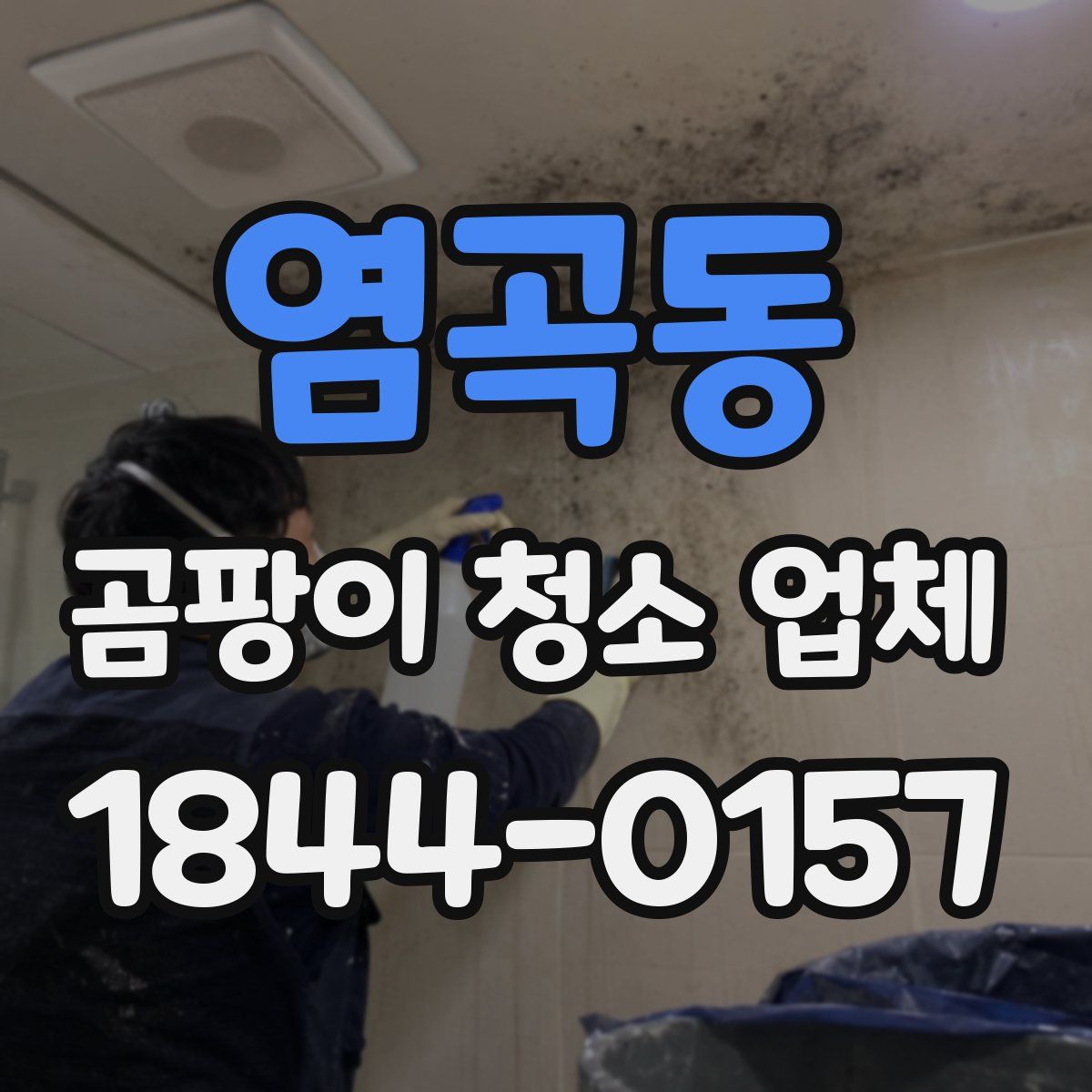 염곡동 곰팡이 청소 업체