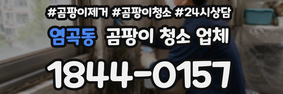 염곡동 곰팡이 청소 업체