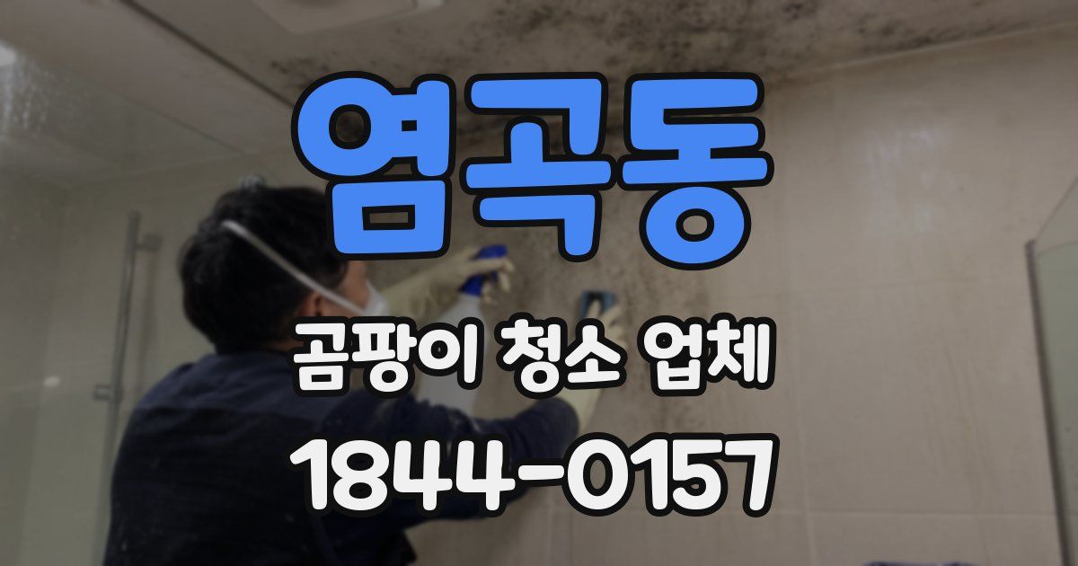 염곡동 곰팡이 청소 업체