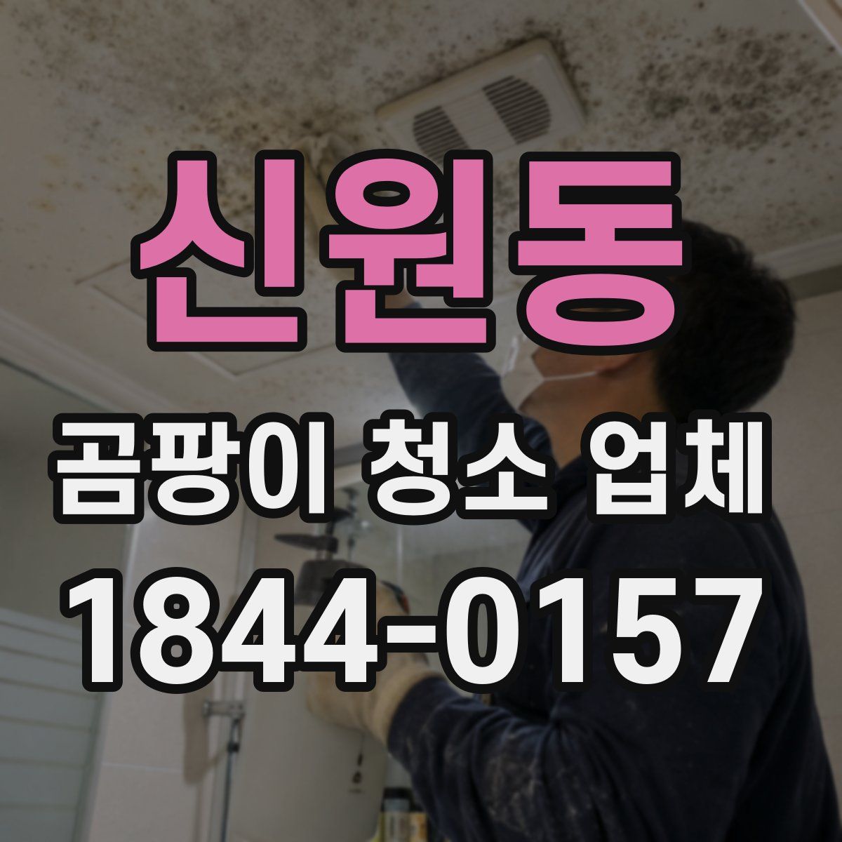 신원동 곰팡이 청소 업체